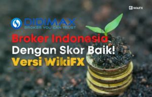 Didimax testimonial