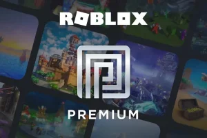 Beli Robux Murah 2025: Penawaran Terbaik untuk Pemain Roblox di VocaGame, Proses top up Roblox murah melalui VocaGame