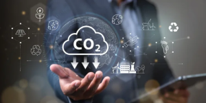 Tips Mengurangi Jejak Karbon dari Aktivitas Online Harian